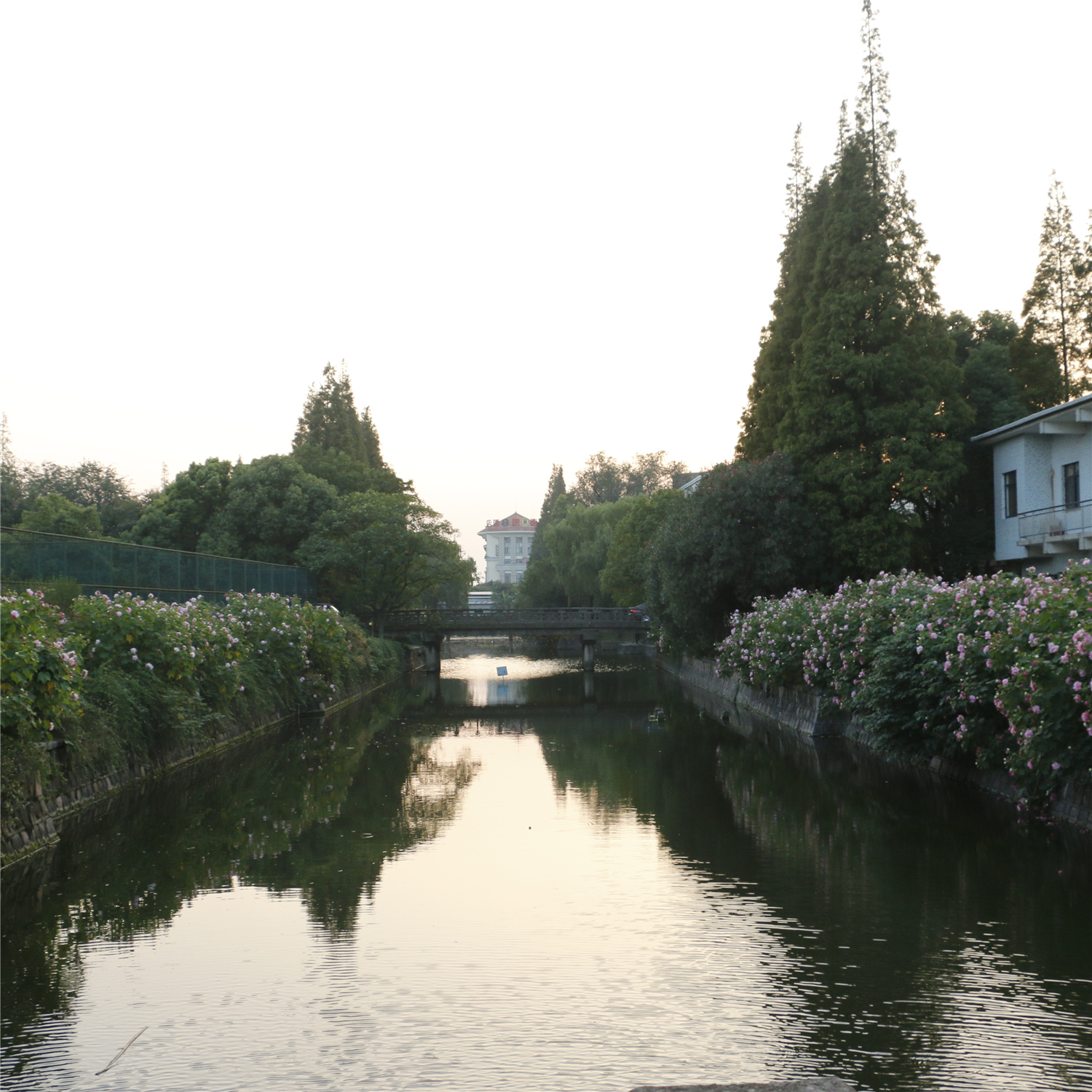 上海交通大学A-Level国际课程中心