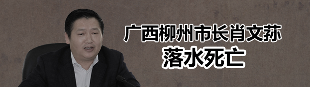 柳州市长落水死亡