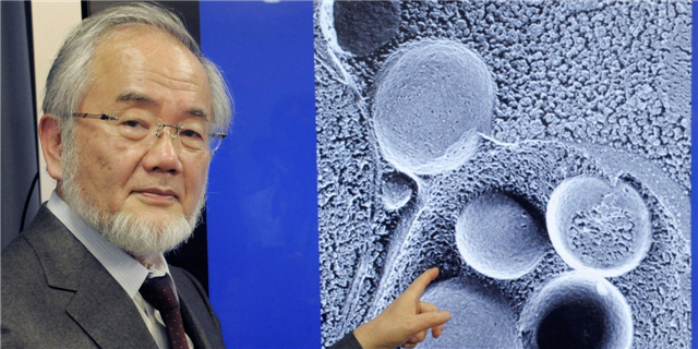 生物学GDP_国内十大生物学研究机构学科优势比较(2)