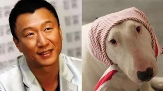 明星表情撞脸神相似