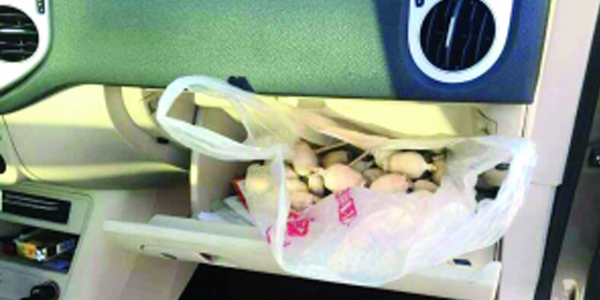 買罌粟給兒子中考提神怎么回事？網(wǎng)友：高考是不是得吸大麻了