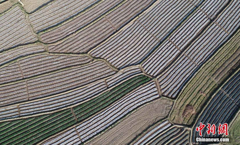 图为空中俯瞰德昌田园风景如画。 刘忠俊 摄