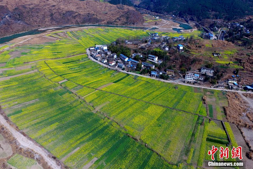 航拍广元市青川县竹园镇东坝村,重建的房屋掩映在青山之间。 唐忠涛 摄