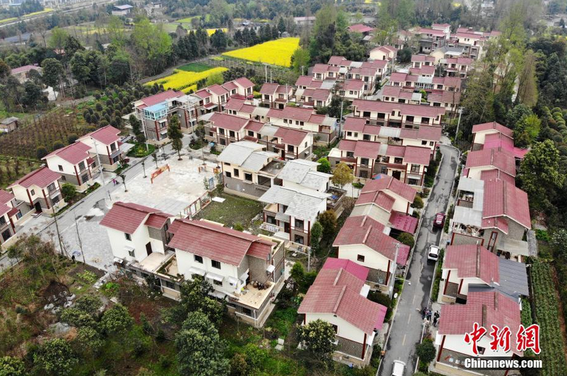 图为航拍都江堰市一片乡镇农房,红瓦白墙整齐排列,掩映在绿色的成都平原中间。 张浪 摄