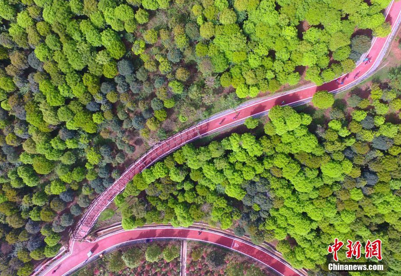 图为航拍彭州市葛仙山绿道。