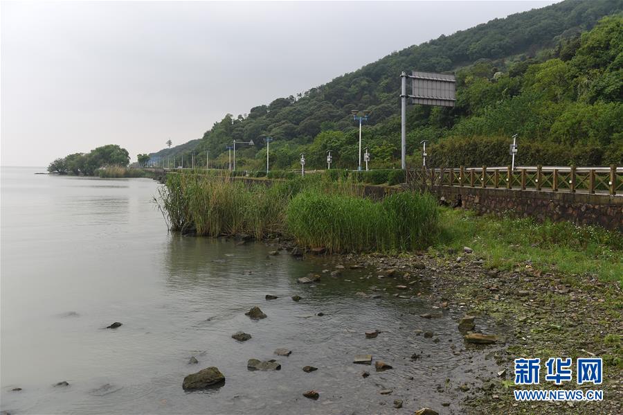 无锡马山人口_狂欢 第三届无锡马山万人帐篷节现场,嗨到爆(2)