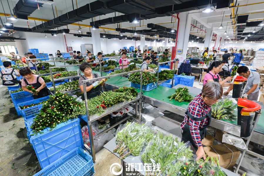 浙江绍兴市柯桥区有多少人口_浙江绍兴市柯桥区图片