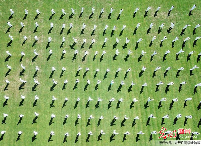 全球一共多少人口2017_西贝尔全球一共多少辆(3)