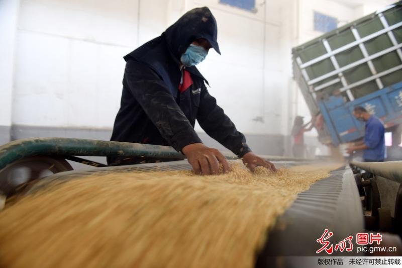 中国13亿人口 农民_6亿农民被取消农业户口,巨大改变你能接受吗(3)