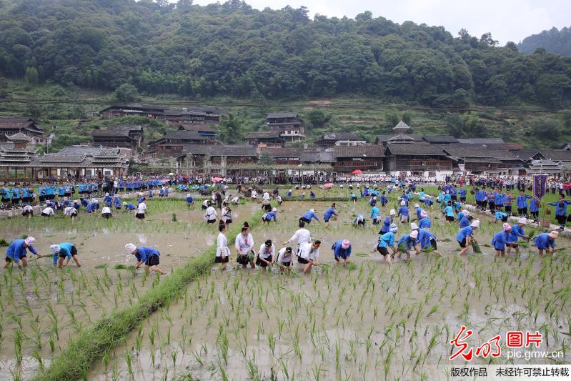 黎平永从镇人口_黎平会议