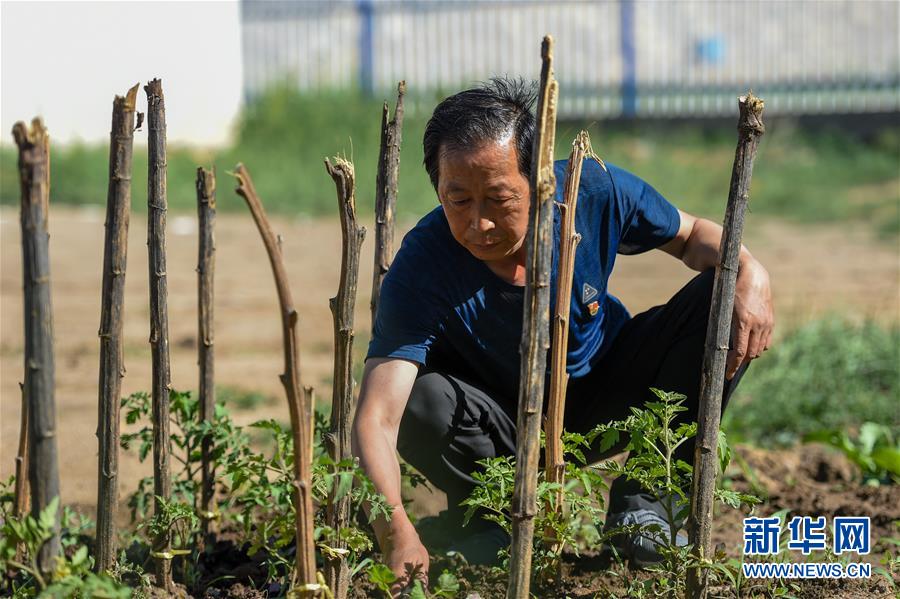 内蒙古乌兰察布：驻村书记吕远成