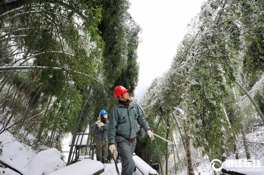 义乌大陈人口_义乌大陈马畈旅游景区