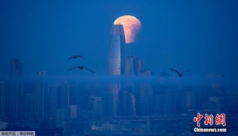 蓝色血的人类 RqId-fyrcsrw3476644.jpg