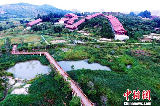 航拍晋江磁灶窑系金交椅山窑址。(磁灶镇供稿) 孙虹 摄