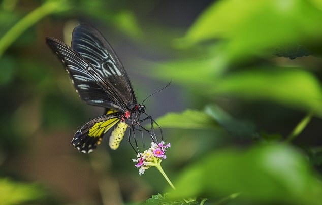 mwlm-fymesmp0795196.jpg
