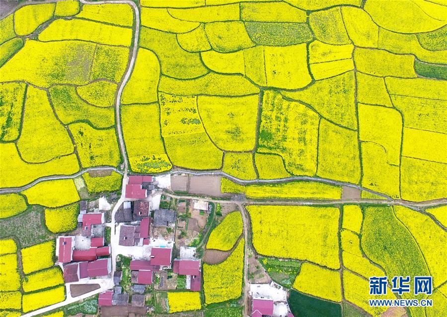 中部六省经济_中部塌陷危机凸现 中部六省经济地位呈下降趋势-中国中部六省平均开...