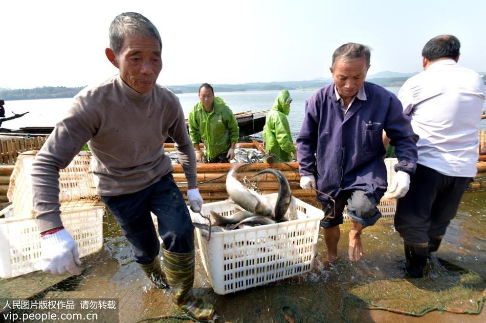 点击图片查看详情 新干人口_江西新干 鱼跃人欢丰收乐