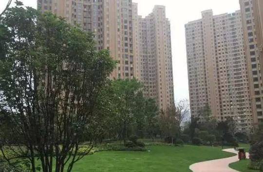姓郑的人口有多少_姓云全国人口有多少