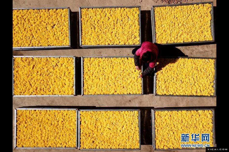 1980年的中国经济总量_1980年的中国照片(3)
