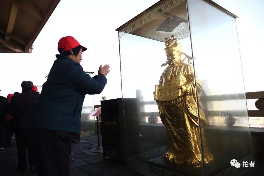 人口金塔图_金塔胡杨林图片(2)