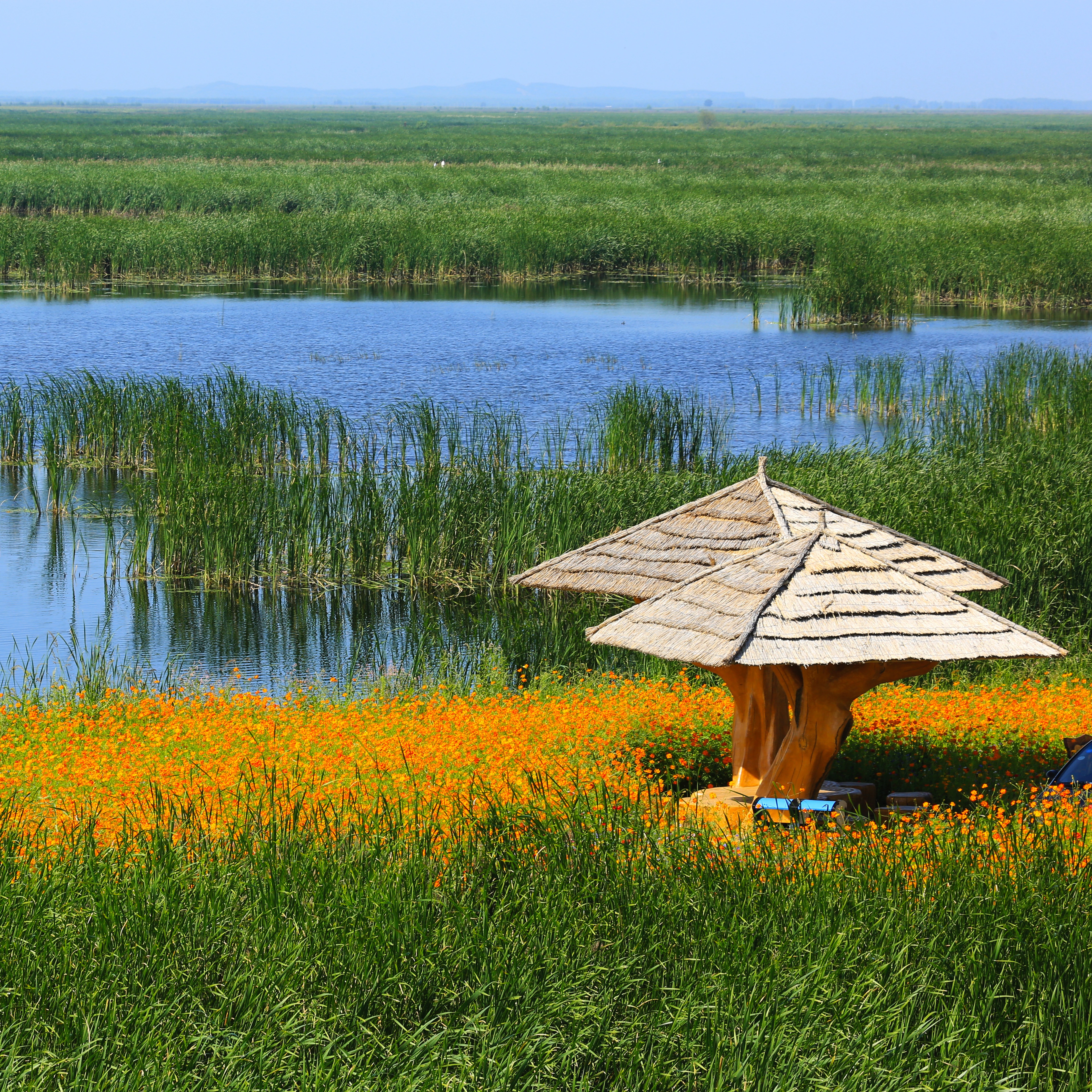 黑龙江：探访富锦国家湿地公园-中国福建三农网