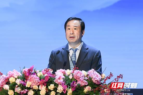 湖南省委副书记、省长许达哲致辞。摄影 李长宏 杨杨