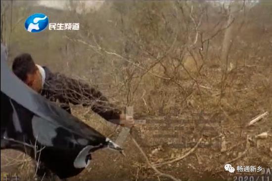 河南男子肇事逃逸后去算命 “大师”称：你躲不