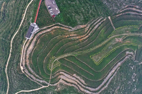 河北邯郸峰峰矿区通过矿山修复改造而成的南响堂山森林公园（2020年8月17日无人机拍摄）。新华社记者 朱旭东 摄