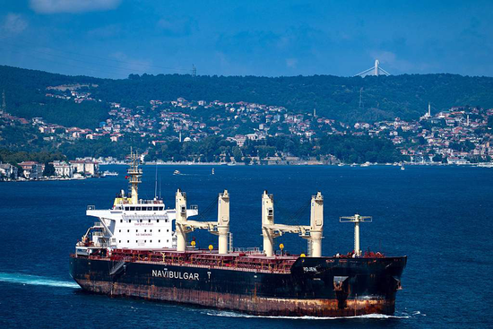 当地时间2022年8月7日，土耳其伊斯坦布尔，悬挂着马耳他国旗的散装货船“Rojen”号载着数吨谷物从乌克兰出发，在经过正式检查后沿着博斯普鲁斯海峡航行。人民视觉  资料图