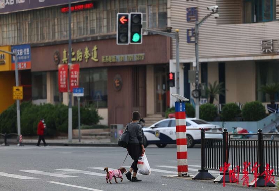 5月3日，上海市黄浦区，“电话亭女士”牵着她的小狗走在马路上。中青报·中青网记者 李强/摄