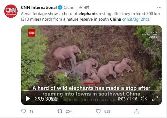 这几天,为何这么多外媒都对中国东北部的这件事“上心”?(图1) CNN对野象群报道 图片截图自推特