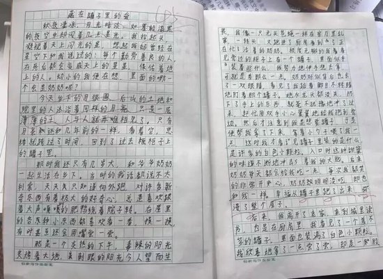  《藏在罐子里的爱》最初版本文字