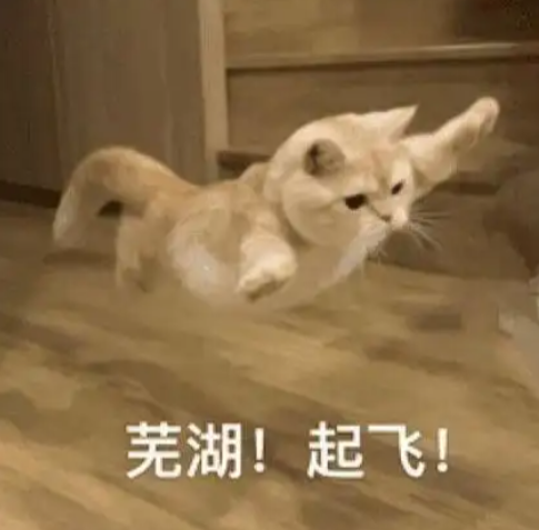 男子玩滑翔伞坠落礁石 消防员用担架固定救出