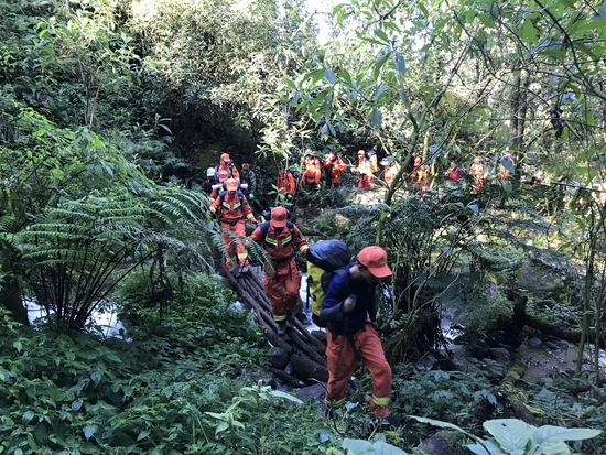 11月21日，救援组在哀牢山中搜寻失联人员。图据镇沅县委宣传部