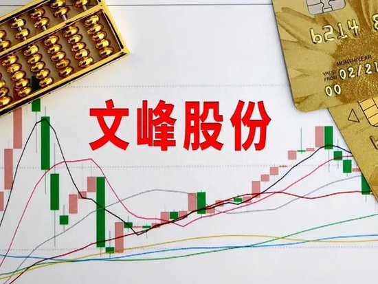 投8亿亏3亿!踩雷当代系债+天风证券割肉,文峰股份为何无脑巨亏