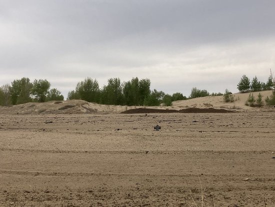 東風鎮一處人口地面臨荒沼沙地威脅。