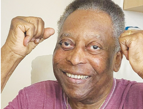  ����������������