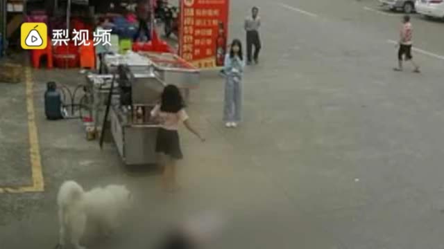 被狗绳绊倒身亡老人亲友发声：十几岁女孩带别人家狗出来玩