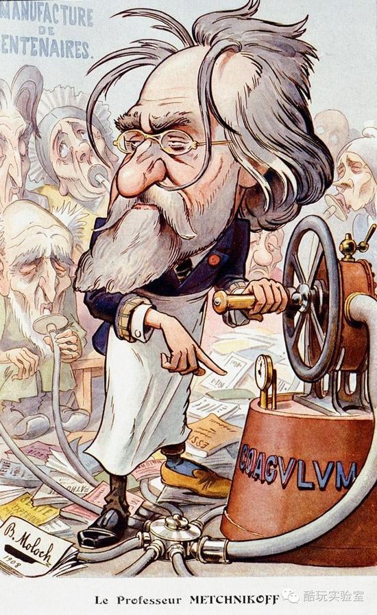图:酸奶狂潮期间流行于世的插画