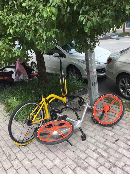 上海五角场附近扔着的摩拜与ofo