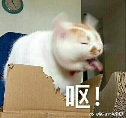 囧哥:心态崩了!日本天才少女连败乒乓国手已想放弃 囧哥:心态崩了!日本天才少女连败乒乓国手已想放弃图片