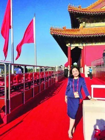 参赞是什么概念?