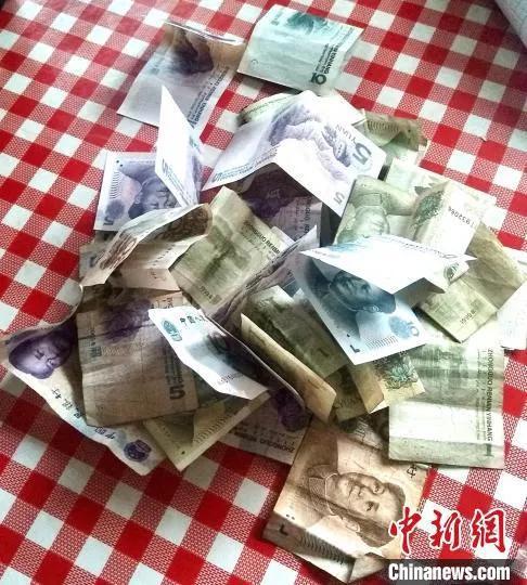 疫情横行,夕阳暖情暖人心。 郭俊宏 摄