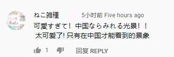 这几天,为何这么多外媒都对中国东北部的这件事“上心”?(图17) 这几天,为何这么多外媒都对中国东北部的这件事“上心”?(图17)