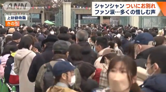 上野动物园开门前，大批游客在门口等待（朝日电视台）