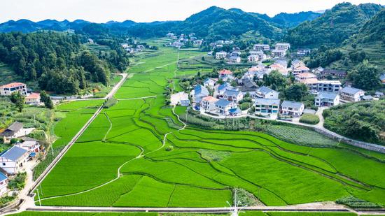 遵义市播州区枫香镇花茂村风貌(2020年7月14日摄,无人机照片)。新华社记者陶亮摄