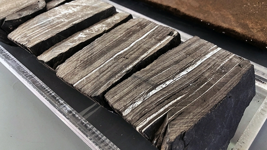 △这是富有机质纹层状细晶泥质灰岩。(总台央视记者许永松拍摄)