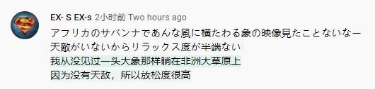这几天,为何这么多外媒都对中国东北部的这件事“上心”?(图12) 这几天,为何这么多外媒都对中国东北部的这件事“上心”?(图12)