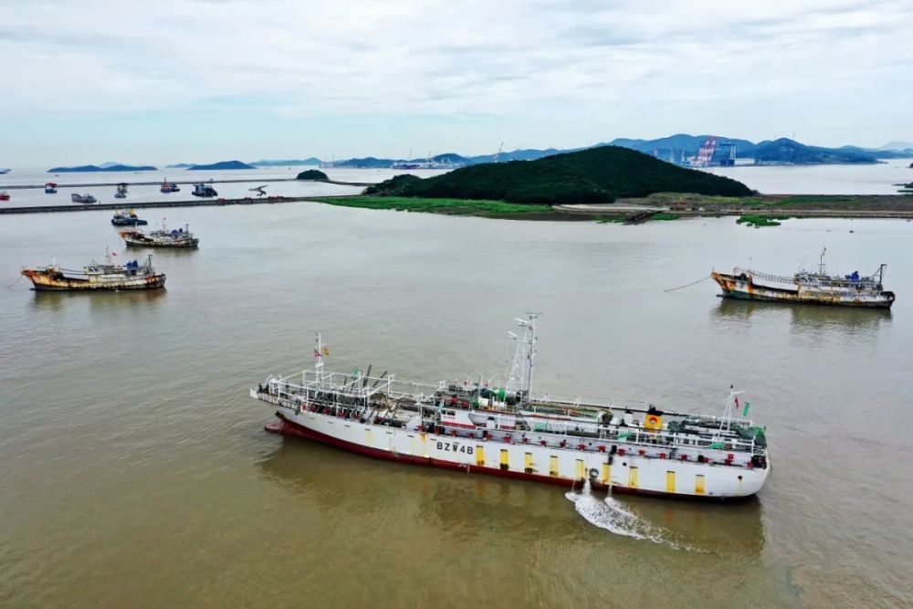 7月3日,浙江舟山市定海区西码头的舟山国家远洋渔业基地渔港,一些远洋渔业企业响应自主休渔,远洋捕捞船陆续到港并锚泊在渔港内。图/中新