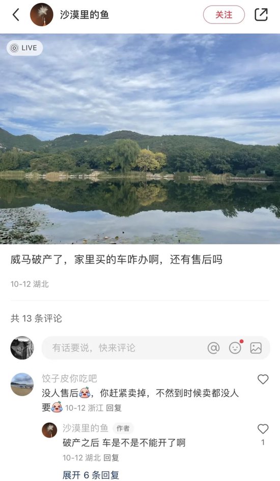 曾被认为是最具潜力的新能源车企，威马为何走向终局？